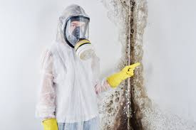 Mold Documentation for Insurance Claims in Mount Cob, PA